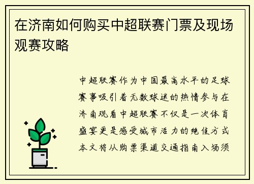 在济南如何购买中超联赛门票及现场观赛攻略